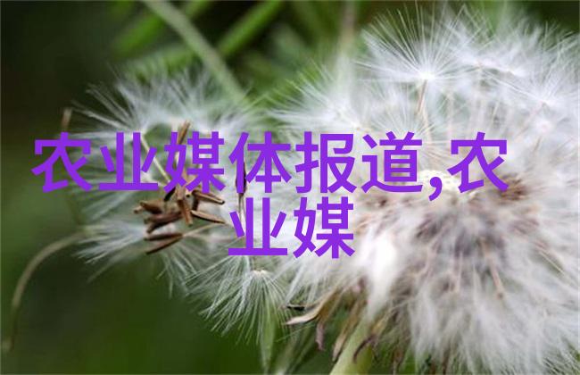 在深山老林中寻找古树新枝药材收集的秘密之地