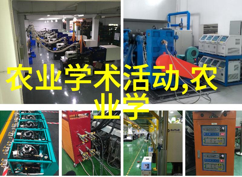 初次养蜂必备指南从准备到收获的全程攻略