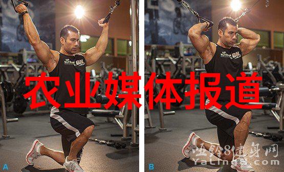 沉默的绿茵茶香之谜
