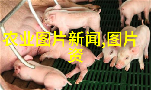 农村常见60种野生中草药-田野中的药材探索农村常见的60种野生中草药