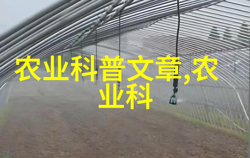 绝代家丁守护秘密花园的忠诚仆从