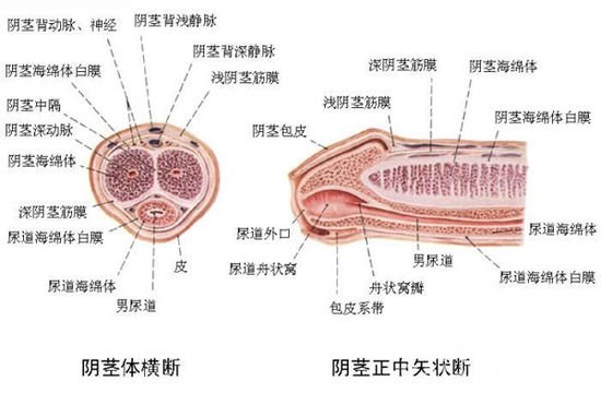 关于法律的美文摘抄-法之韵律法律美学的探索
