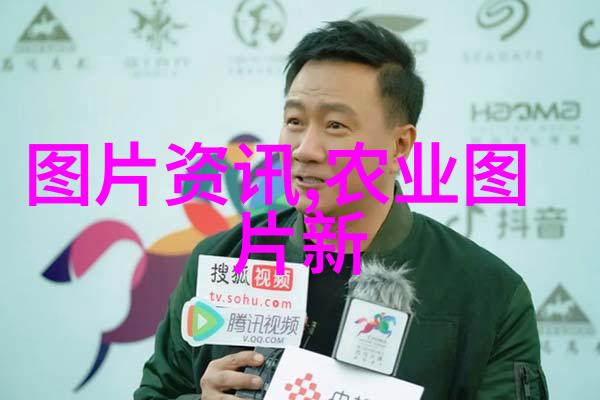蜜蜂工具所有工具图片-甜蜜工匠的全方位装备库