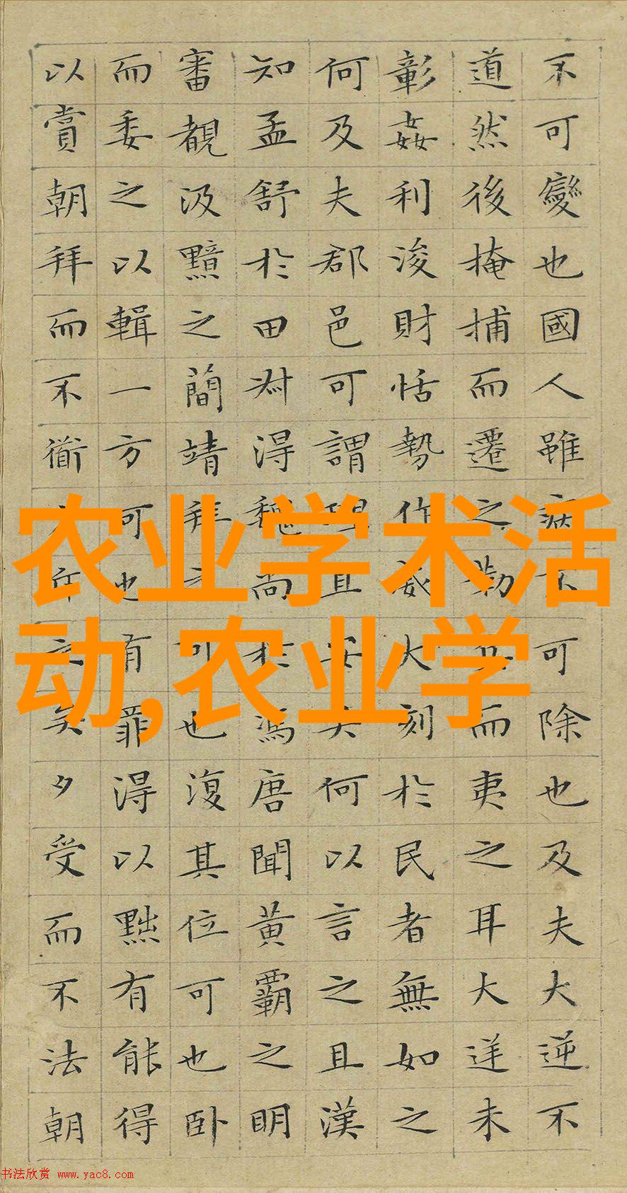 绿萝风水摆放六大禁忌切莫犯避免家宅运势逆转