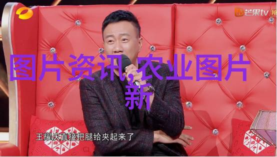 河南省宝丰县将珍稀食用菌产业融入2023新版民法典打造生态循环发展新模式