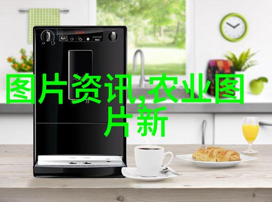 农村种植什么花卉最赚钱-金钱之花探索最赚钱的农村花卉种植机会