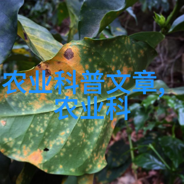 中国茗茶网我和我的茗茶故事在网上的探寻与发现