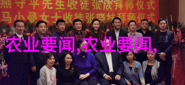 蜂箱管理与蜜蜂健康养护全程解析