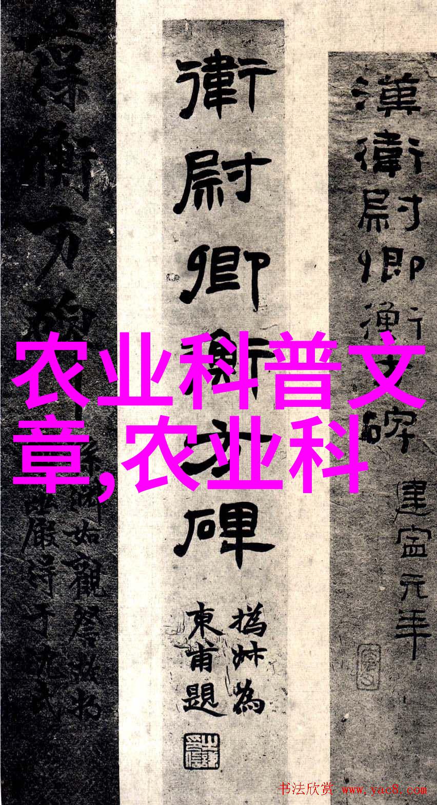 龙井茶采摘的自然美学一场与茶叶科普的邂逅