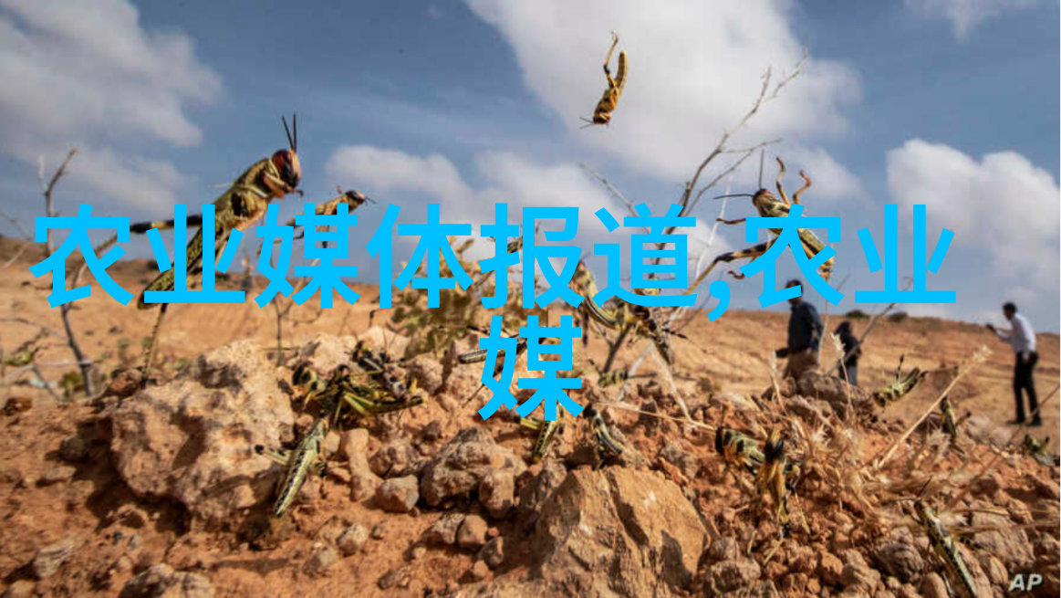 医药界新贵揭秘2024年即将暴涨的几款珍贵草本植物