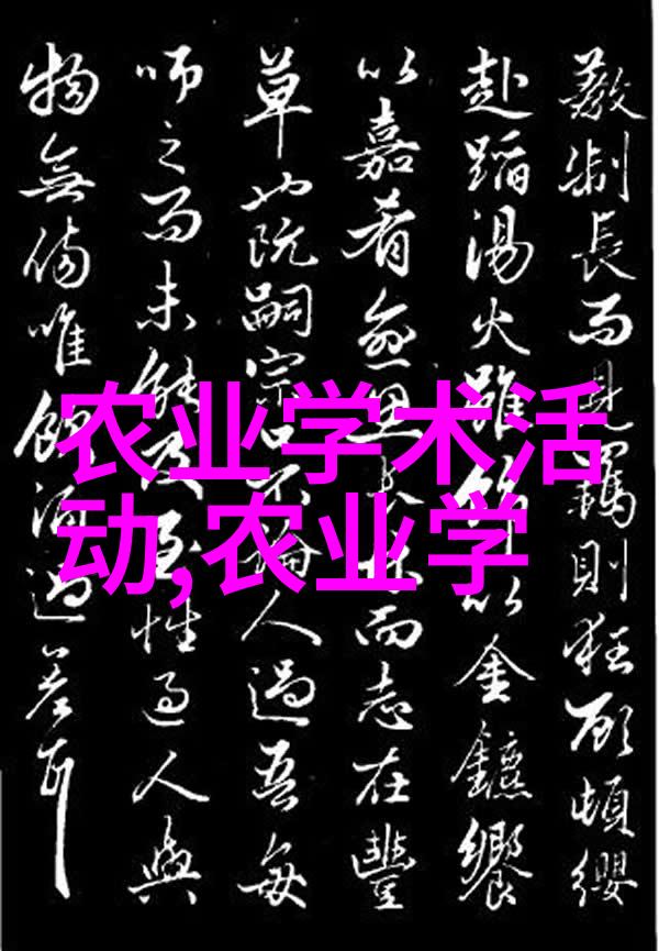 模拟练习的重要性提高通过率的秘诀