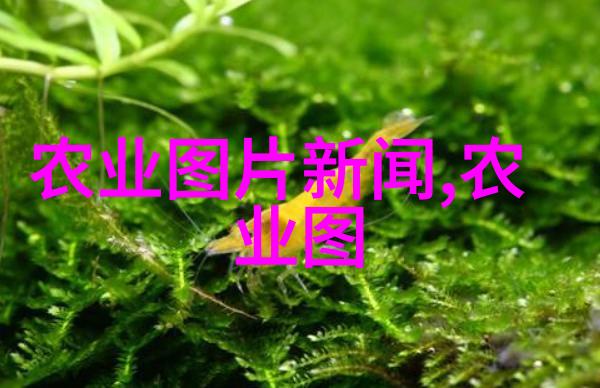 庆祝春回大地农家园中有哪些可收集的野生草本