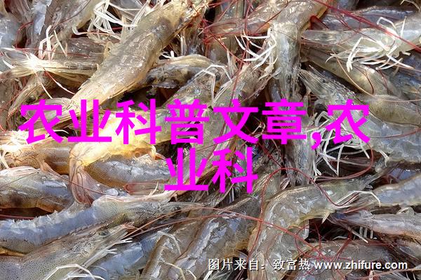 买羊养殖多少钱一只-经济效益与饲料成本揭秘买羊养殖的每一分钱