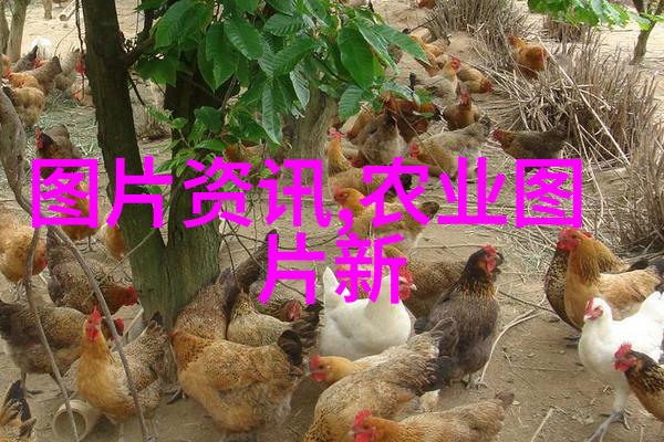 萌妻厨娘的美味盛宴家庭烹饪的温馨故事