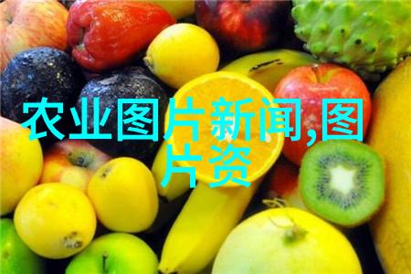 蜂蜜的香甜与技术的精髓一条从蜂箱到蜂蜜桶的全程探索