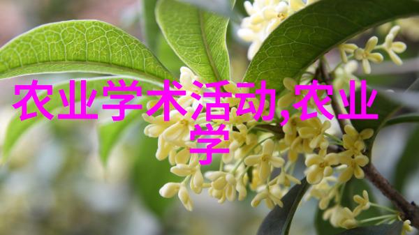 草本医仙探秘中药材种苗的奥秘