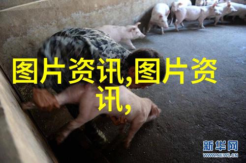 药价惊人揭秘一斤40万的最贵中药材