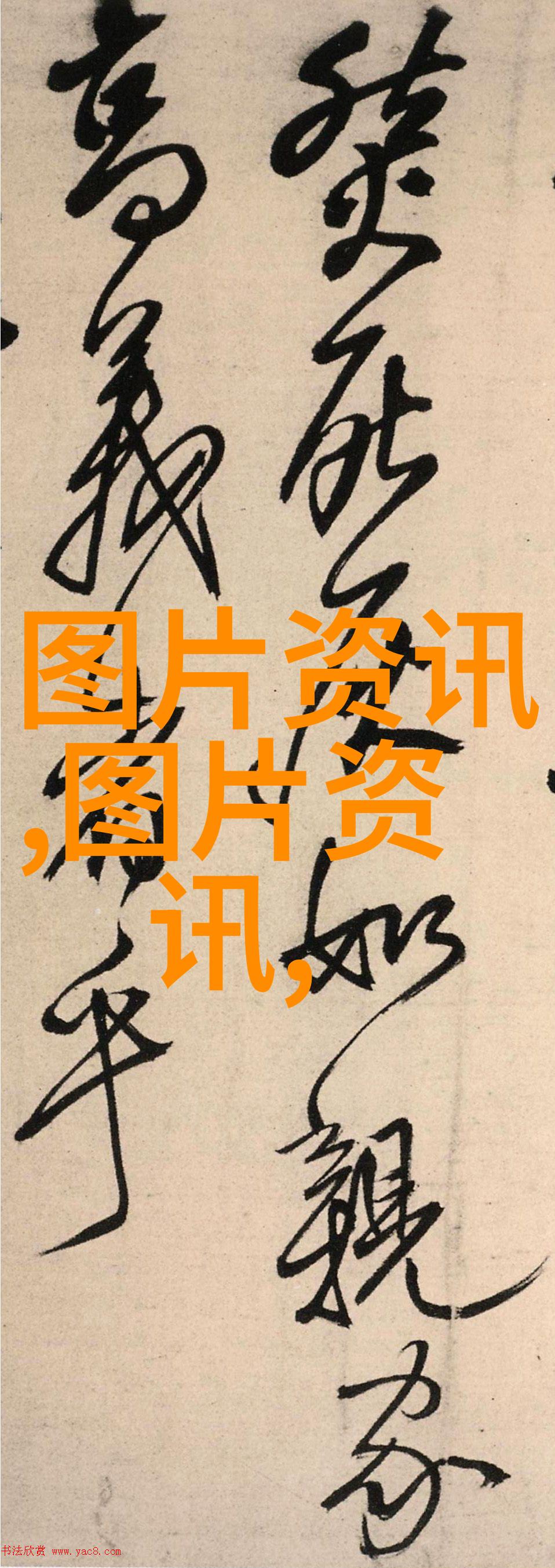 中央最新防疫政策-全面动员解读中央最新防疫政策的关键要点与实施方案