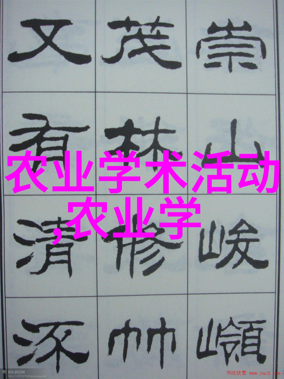 茶叶的秘密它是如何在千年的时间里塑造中国文化的
