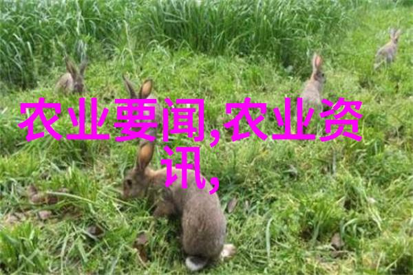 新型疫苗对预防流行性感冒病毒有何作用