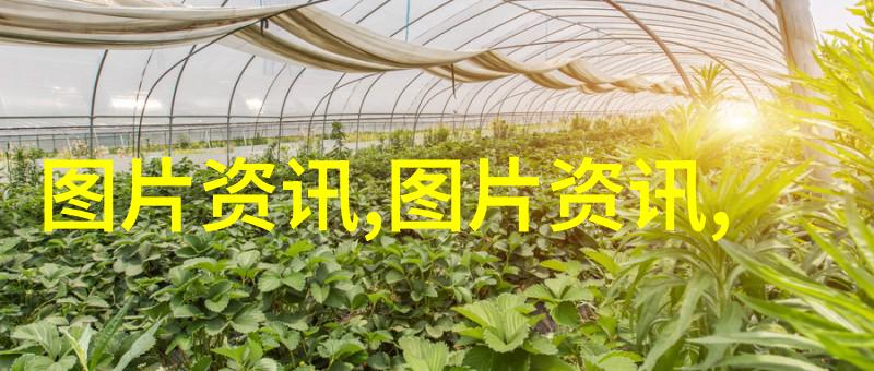 山药病虫现场调查主要查什么病养殖技术网探究自然生态保护之谜