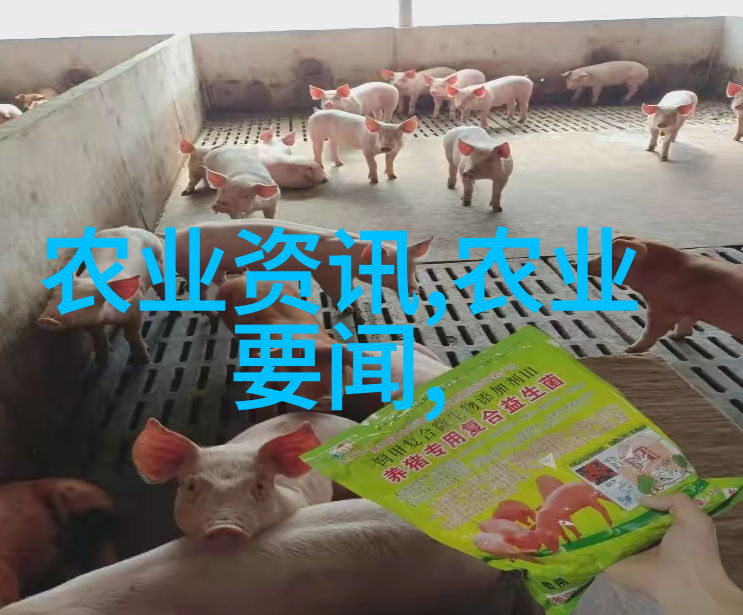 天刑纪-天罚与人间揭秘天刑纪背后的道德法则