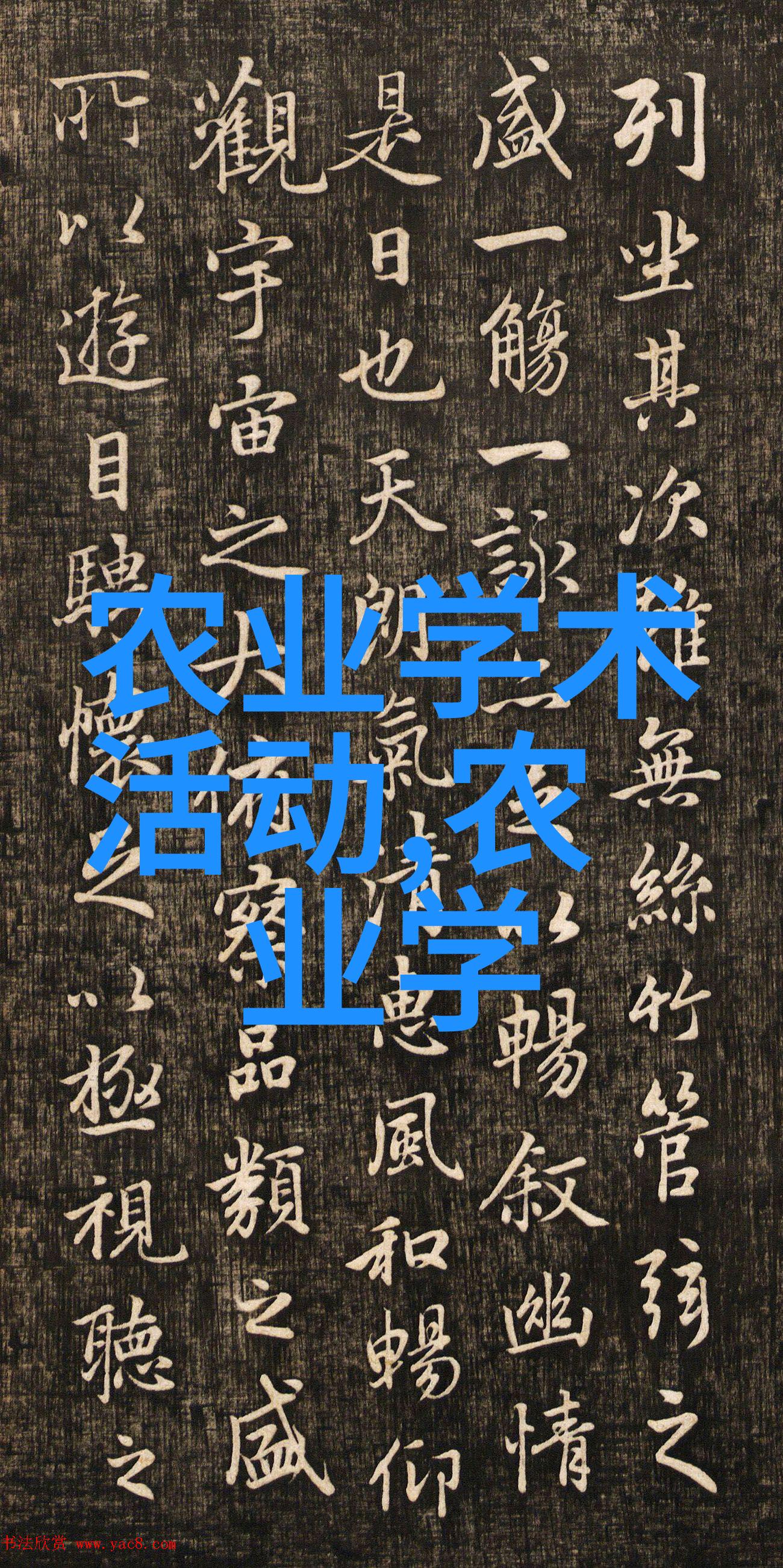 虾养殖技术我的朋友们你准备好学点抓大活了吗