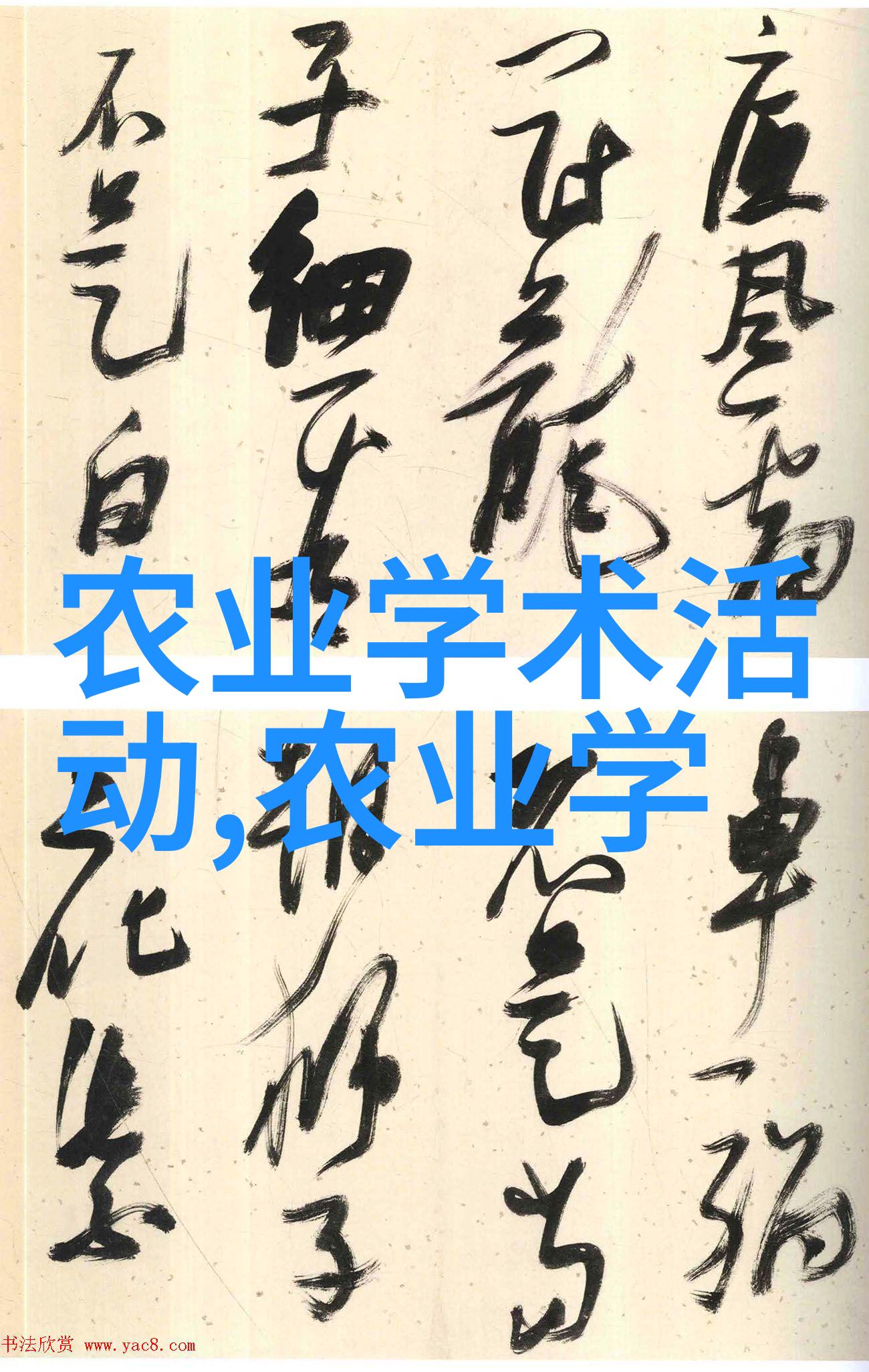 家庭阳台上的绿意盎然种菜盆的魅力与技巧