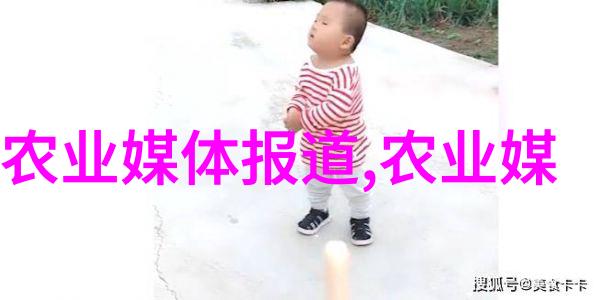 苗木种植艺术从苗期到成材的生长秘诀