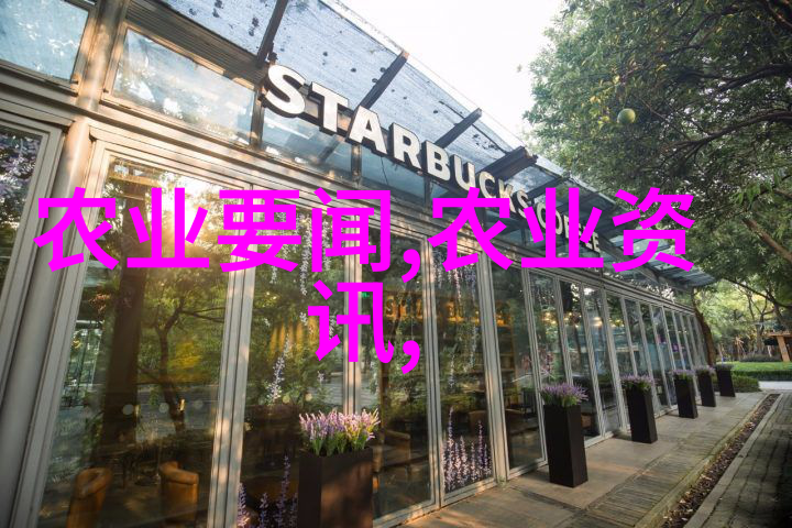 羊群之歌一日玉米的赞歌