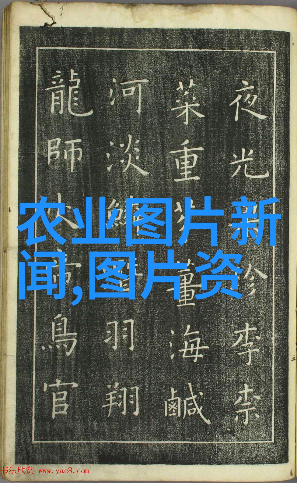 湖南药材种植合作公司绿色健康的产业翘楚