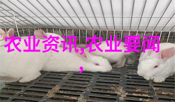 走进自然的诊所摄影记录农村中草药