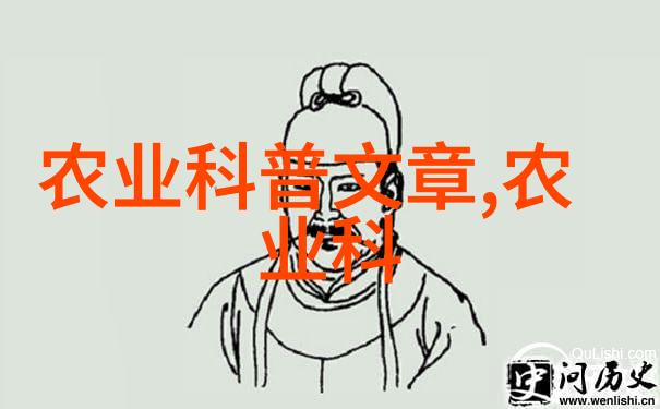 传统与创新现代人对古老茶艺重新认识和理解