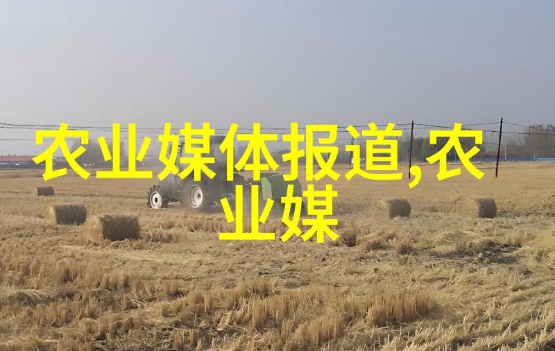 秋风轻拂沉醉于季节的茶韵之中