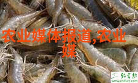 室内装饰-室内十大吉利花增添家居福祉的秘密武器
