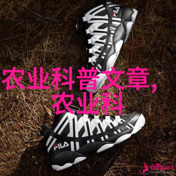 寻找水果的种子图片我的奇妙冒险