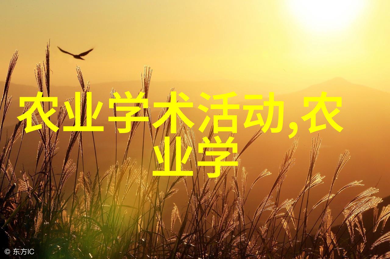 冬季蔬菜种植技巧如何在寒冷季节成功种植各种健康蔬菜