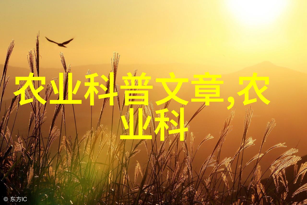 小家庭种菜-自家园丁轻松创造美味的绿色乐趣