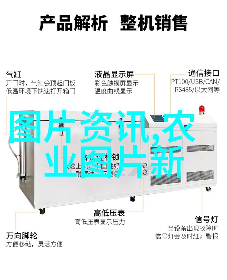 土地种什么最赚钱 - 金钱滋润揭秘高收益农作物的选择