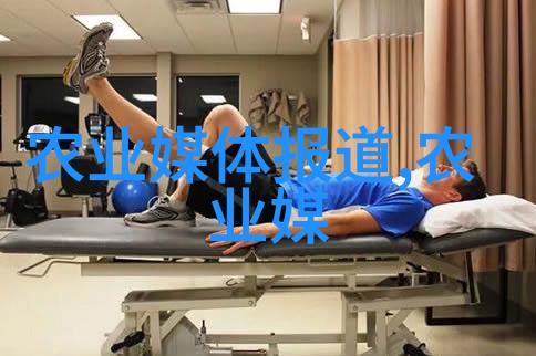 家庭客厅养花攻略选择适合居家环境的植物