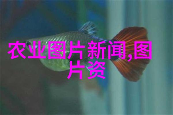 农业学术活动_农学活动有什么_农业学术会议