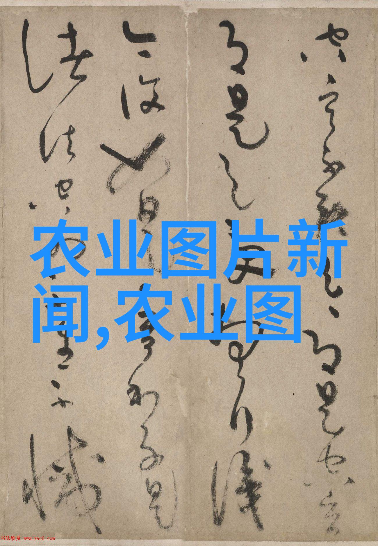 一箱蜂有两个蜂王是否会引发蜂群的混乱
