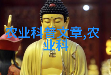 水果名称大全及图片 - 鲜艳多姿探索全球各地的美味佳肴