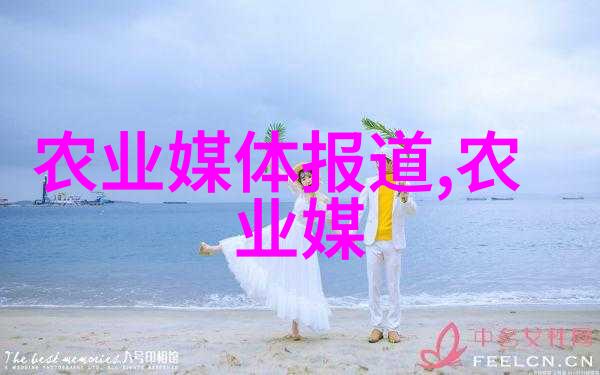 液压破碎锤-高效无声的岩石撕裂者