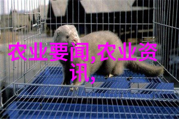 高山青砖与平原绿泥中国主要产区概览