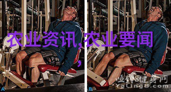 茶艺师的艺术探索深入了解茶文化和制作技巧