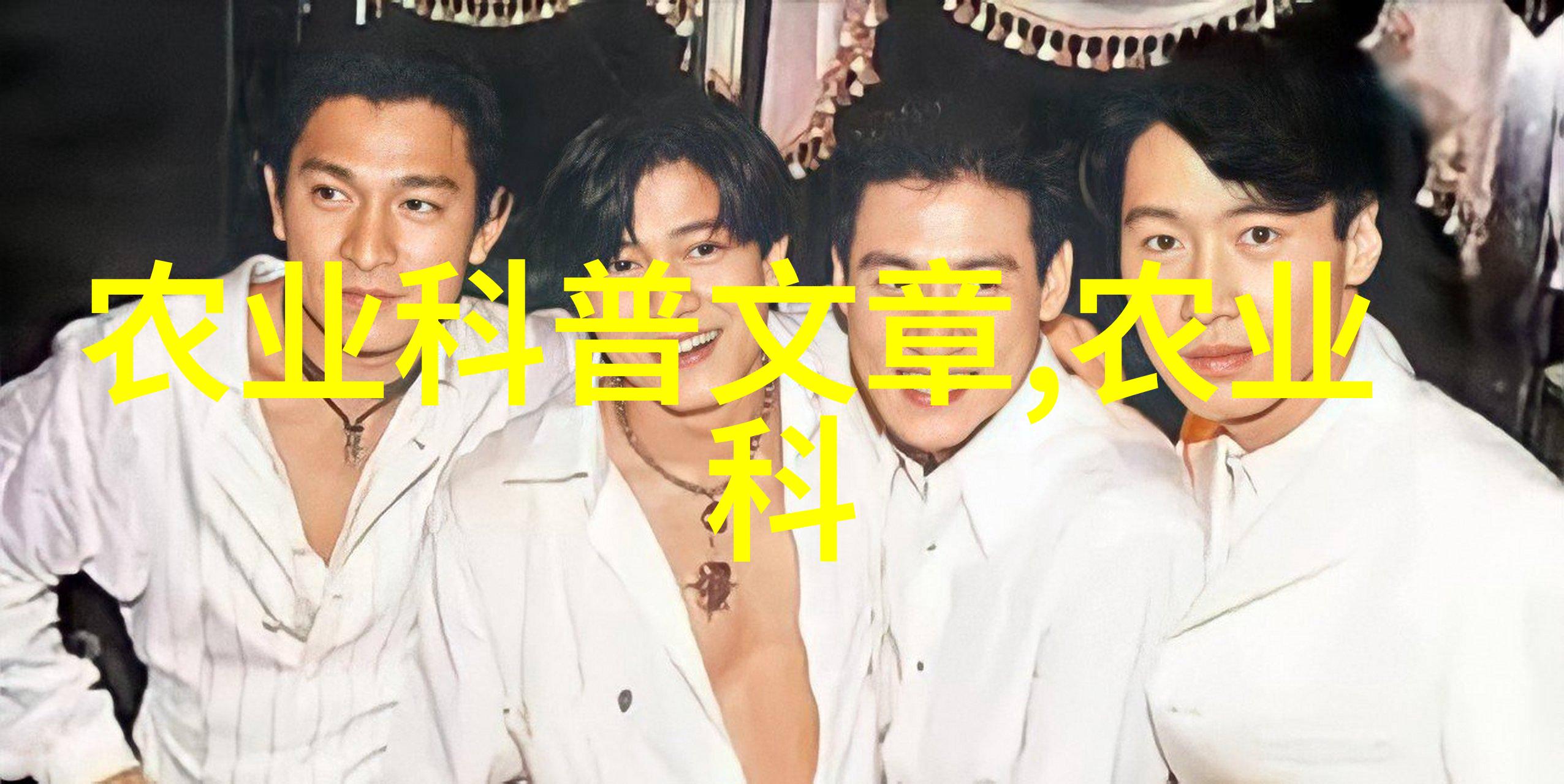 5箱蜂一年能发展多少探索蜜蜂社会的奇迹与挑战