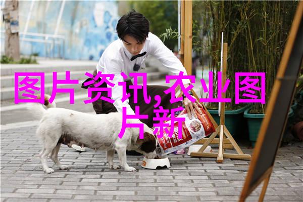 石菖蒲栽培全攻略技术秘诀与最佳种植地区解析