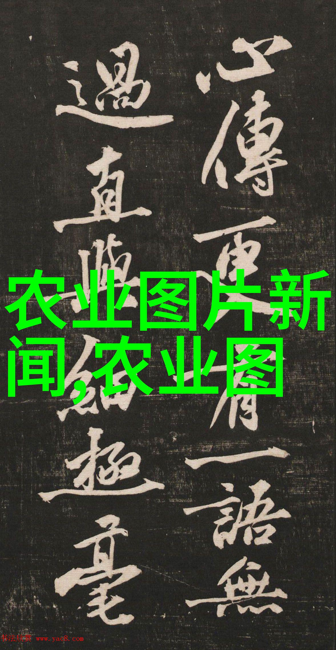 农田里的劳动诗篇手工插秧机的故事