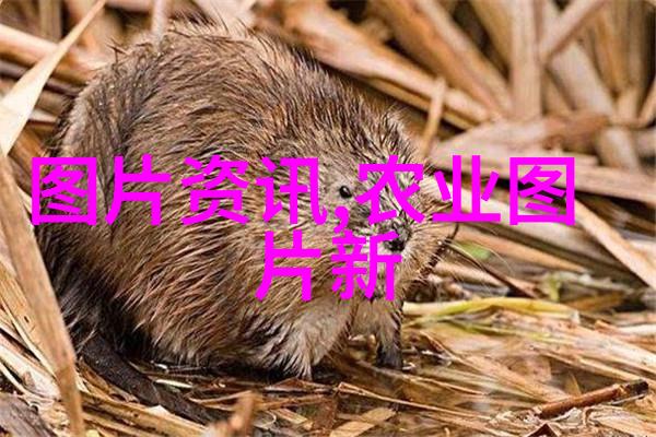 药用植物革新智慧医源的未来探索